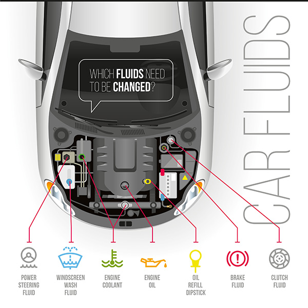 5 Essential Vehicle Fluids Every Driver Should Know About And When To Replace Them